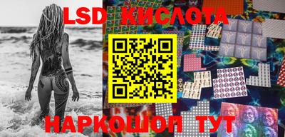 спайс Берёзовский