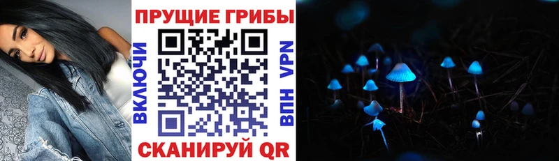 купить наркотики цена Красноармейск Галлюциногенные грибы Magic Shrooms