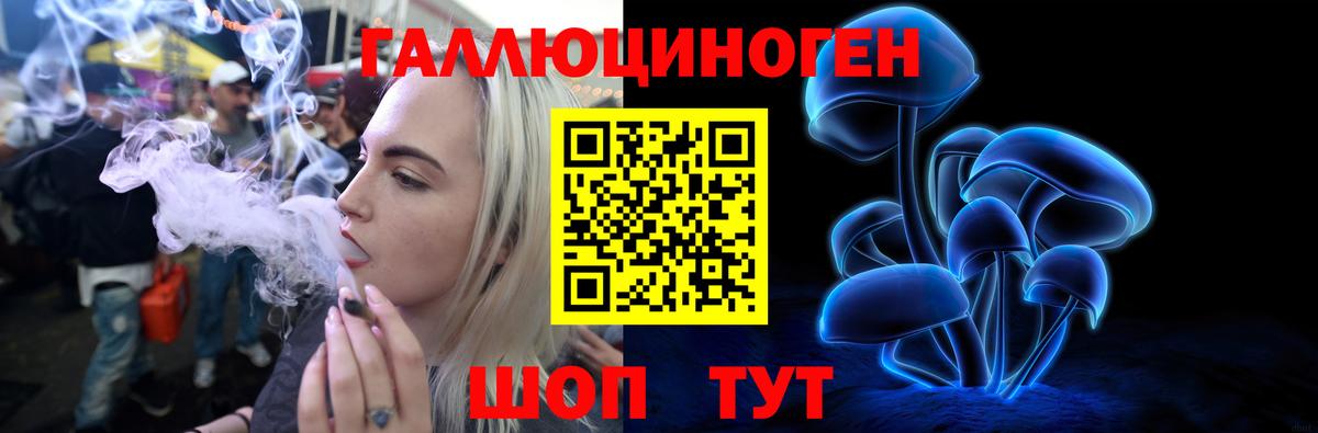 Галлюциногенные грибы Psilocybine cubensis Красноармейск